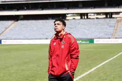 محلل أداء الأهلي السابق ينضم إلى مولودية الجزائر بقيادة موكوينا